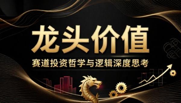 龙头价值与赛道投资哲学与逻辑深度思考书籍