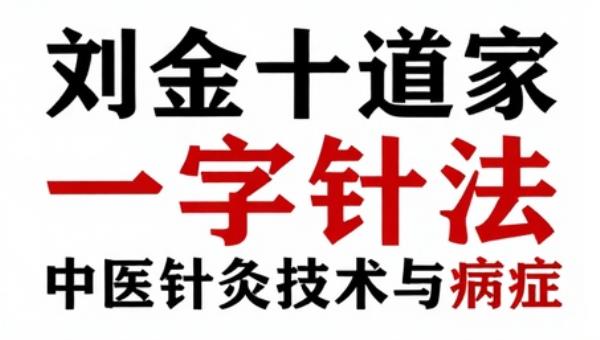 刘金十道家一字针法：中医针灸技术与病症