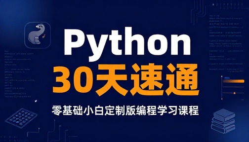 Python 零基础 30 天速通小白定制版编程学习课程