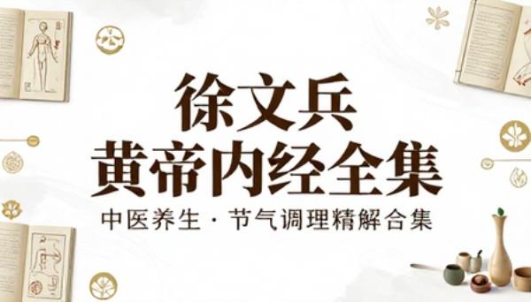 徐文兵黄帝内经全套讲解书籍中医养生节气调理合集