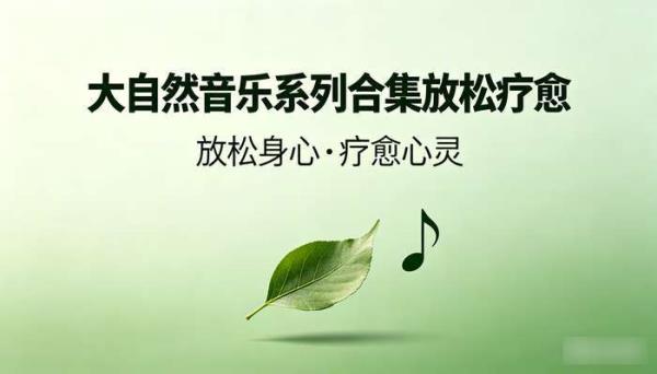 大自然音乐系列合集放松疗愈