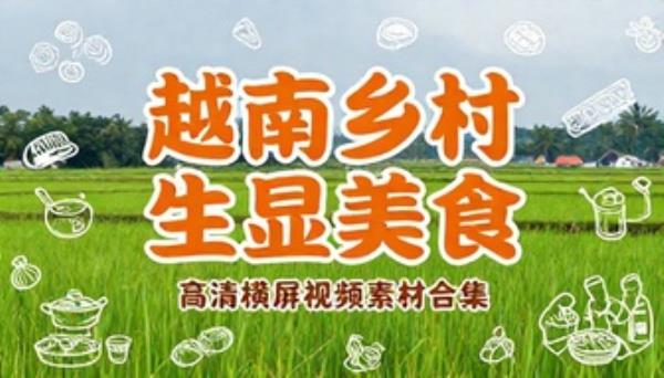 越南乡村特色生猛美食高清横屏视频素材合集