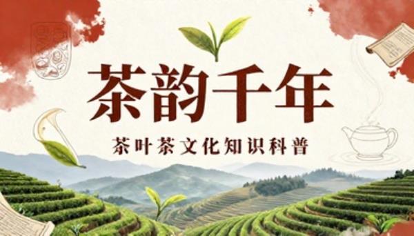 茶叶茶文化知识科普短视频文案素材
