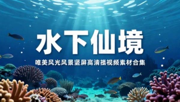 水下唯美风光风景竖屏高清短视频素材合集