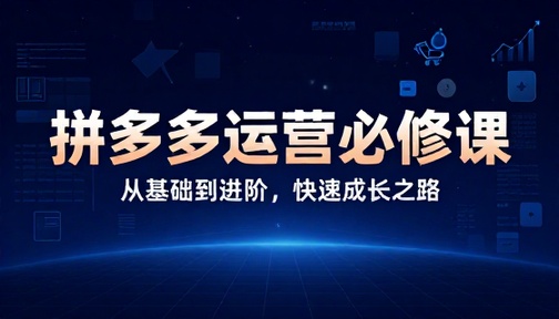 拼多多店铺运营成长必修课基础到进阶
