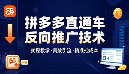 拼多多直通车反向推广技术实操教学