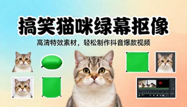 抖音搞笑猫咪绿幕抠像高清视频特效素材