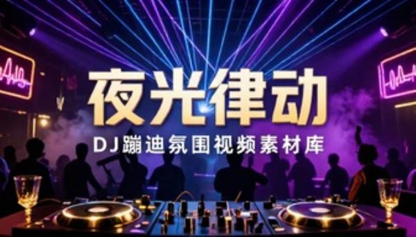 酒吧夜店 DJ 蹦迪氛围横竖屏视频素材