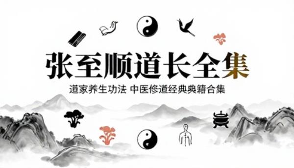 张至顺道长全集道家养生功法中医修道经典典籍合集