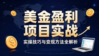 海外美金盈利项目实操技巧与变现方法教学