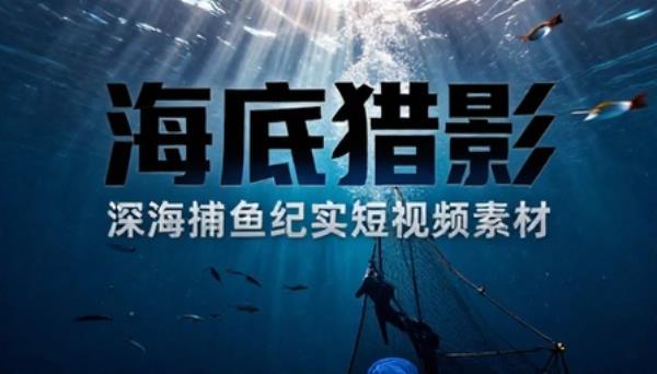 海底海洋捕鱼猎鱼纪实短视频素材