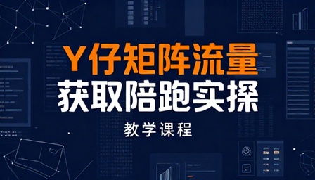 Y 仔矩阵流量获取陪跑实操教学课程