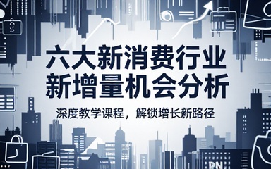 六大新消费行业新增量机会分析教学课程