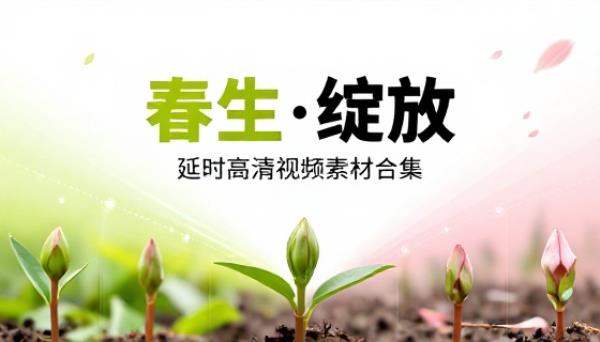 春天植物花草生长盛开延时高清视频素材合集
