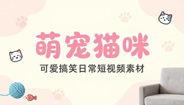 萌宠猫咪可爱搞笑日常短视频素材
