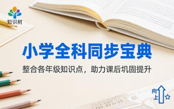 小学全科同步学习资料汇总整合各年级知识点助力课后巩固