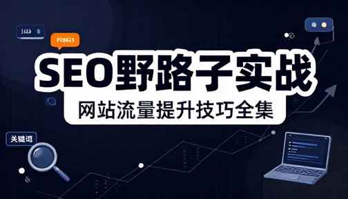 SEO 优化野路子实战技巧全集网站流量提升