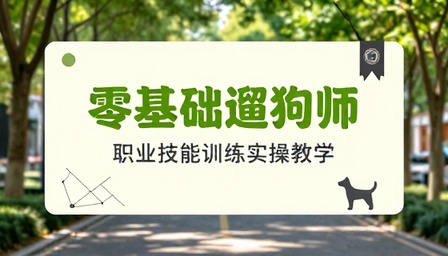 零基础遛狗师职业技能训练实操教学