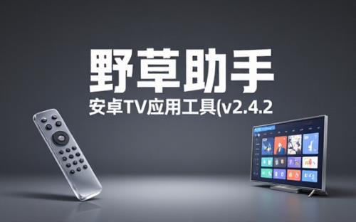 安卓TV电视应用工具野草助手v2.4.2