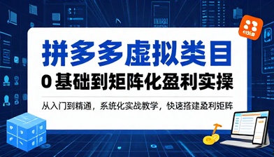 拼多多虚拟类目 0 基础到矩阵化盈利实操教程