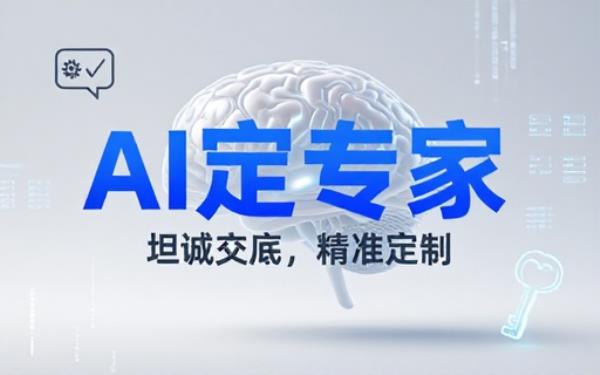 AI 定专家：坦诚交底，精准定制解决方案