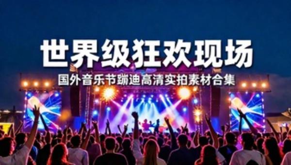 国外音乐节蹦迪现场高清实拍视频素材合集
