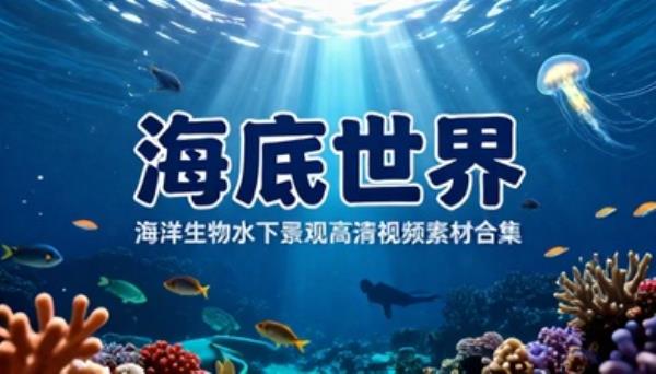 海底世界海洋生物水下景观高清视频素材合集