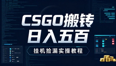 CSGO 游戏挂机捡漏搬砖日入五百实操