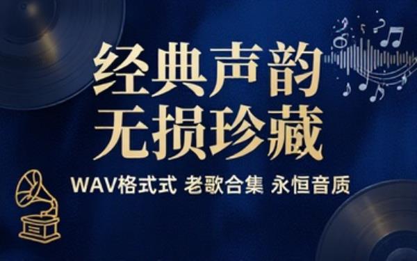 经典老歌合集WAV格式无损音频链接