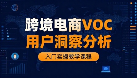 跨境电商 VOC 用户洞察分析入门实操教学课程