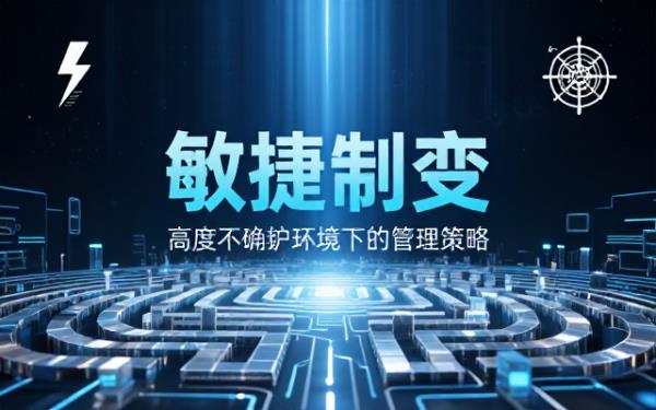 高度不确定环境下灵敏应变管理策略与方法的电子书资源