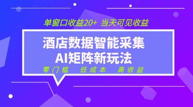 2026酒店数据采集ai智能矩阵新风口  低成本   高收益   当天见收益   单窗口20