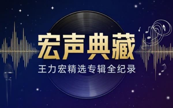 王力宏精选专辑无损分轨音源完整收录歌手热门单曲与专辑代表作品