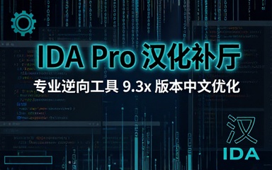 IDA Pro 9_3x 版本逆向工具中文汉化补丁文件