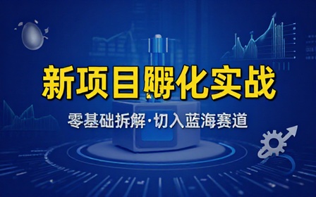 新项目孵化实战课程零基础拆解落地步骤顺利切入新兴蓝海赚钱赛道
