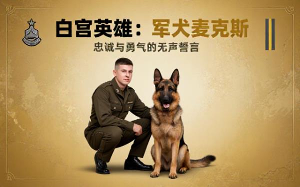 军犬麦克斯白宫英雄的英勇故事