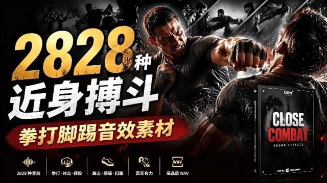 宝藏级别音效！2828种近身搏斗拳打脚踢音效素材，全部中文分类，免解压使用  Close Combat