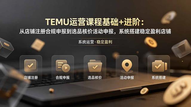 TEMU运营课程（基础进阶）：从店铺注册合规申报到选品核价活动申报，系统搭建稳定盈利店铺