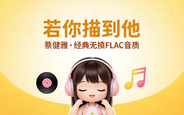 蔡健雅经典歌曲若你碰到他FLAC无损音质音乐资源