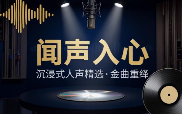 王闻发烧人声专辑多 CD 无损音源收录多首翻唱金曲打造沉浸式人声体验