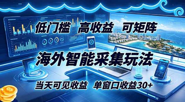海外智能采集玩法，低门槛高单价可矩阵，当天可见收益，单窗口30