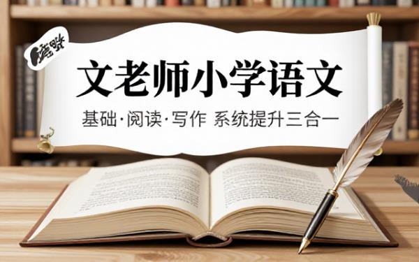 文老师小学语文课程合集涵盖基础知识阅读理解与作文训练