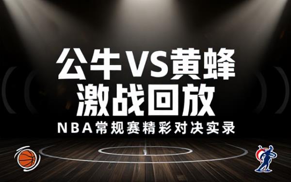 NBA常规赛公牛对阵黄蜂比赛录像回放
