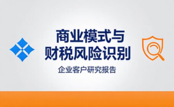 企业商业模式与财税风险识别客户的研究报告