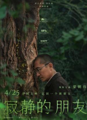 《寂静的朋友》寂静的交流：一棵树与科学家的灵魂共振