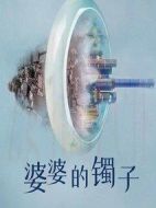 《婆婆的镯子》共14集_其他电视剧全集剧情文案
