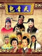 《新包青天之黄金梦》共15集_大陆电视剧全集剧情文案