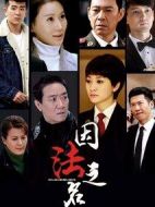 《因法之名》共45集_2019大陆电视剧全集剧情文案
