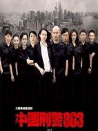 《中国刑警803》共50集_2014大陆电视剧全集剧情文案
