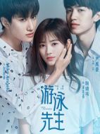 《游泳先生》共46集_大陆电视剧全集剧情文案